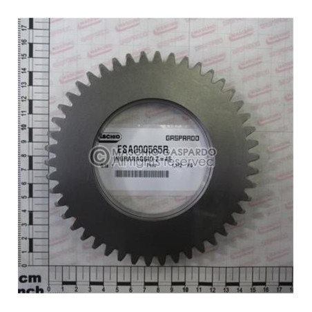Carreto Z46 Maschio - ESA000783