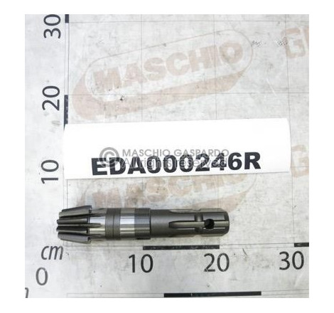 Pinhão Z10 Maschio Golia - EDA000246