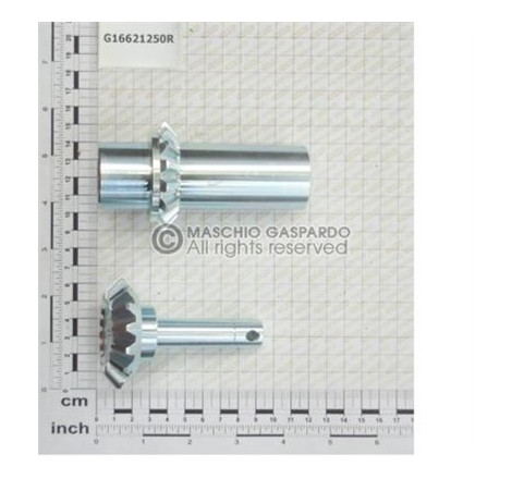 Kit Engrenagens Q20 1+1 Gaspardo - G16621250