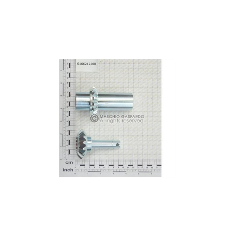 Kit Engrenagens Q20 1+1 Gaspardo - G16621250