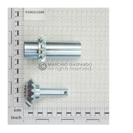 Kit Engrenagens Q20 1+1 Gaspardo - G16621250