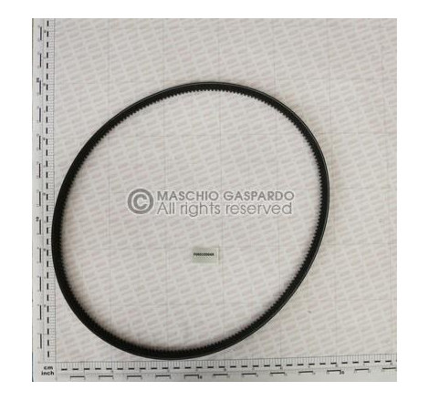 Belt XPB1500 Maschio