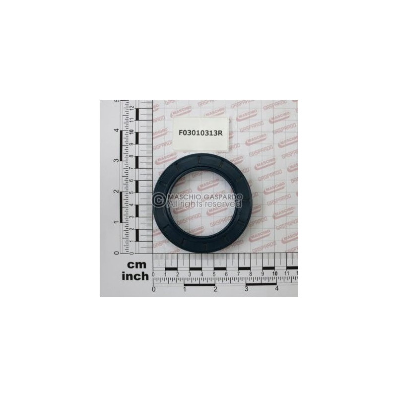 Retentor 55x80x10 Maschio - F03010313