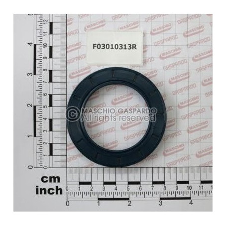 Retentor 55x80x10 Maschio - F03010313