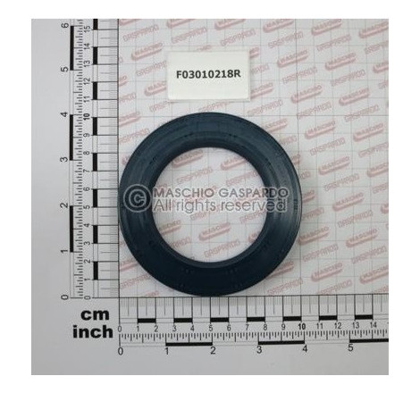 Retentor 65x100x10 Maschio - F03010218