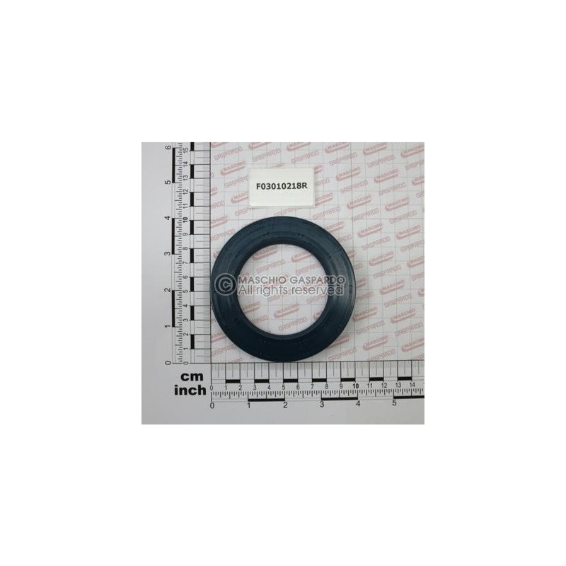 Retentor 65x100x10 Maschio - F03010218