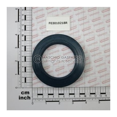 Retentor 65x100x10 Maschio - F03010218