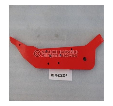 Apo Artiglio Maschio - R17622930