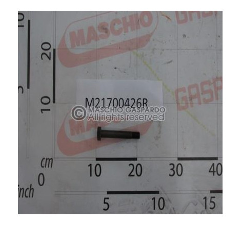 Parafusos Maschio Tipo 20 - M21700426