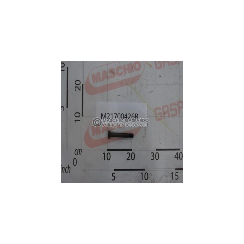 Parafusos Maschio Tipo 20 - M21700426