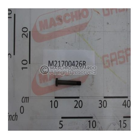 Parafusos Maschio Tipo 20 - M21700426