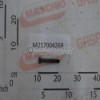 Screw 20 Maschio