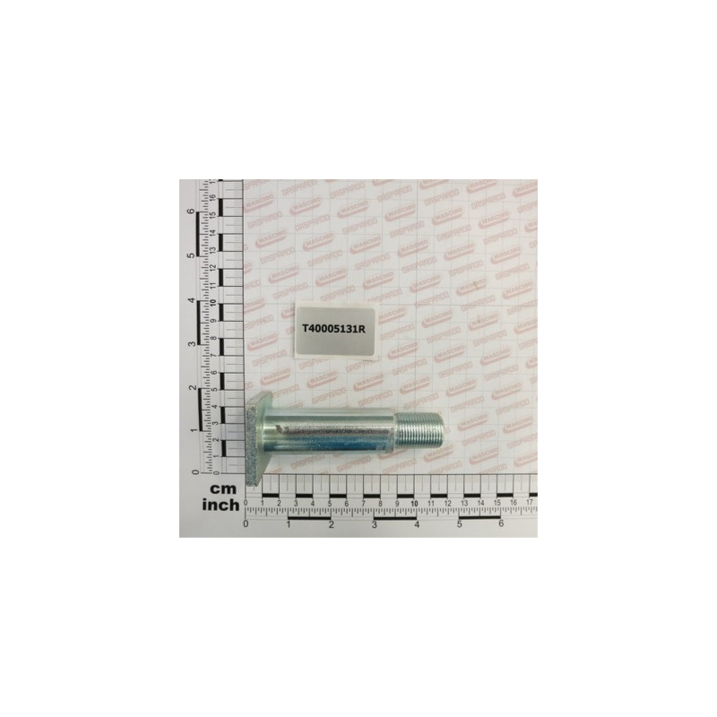 Cavilha Maschio Facas CL/ML/MS - T40005131