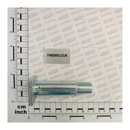 Cavilha Maschio Facas CL/ML/MS - T40005131