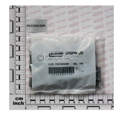 Rebites 6x19.8 154 un Gaspardo - F02250520