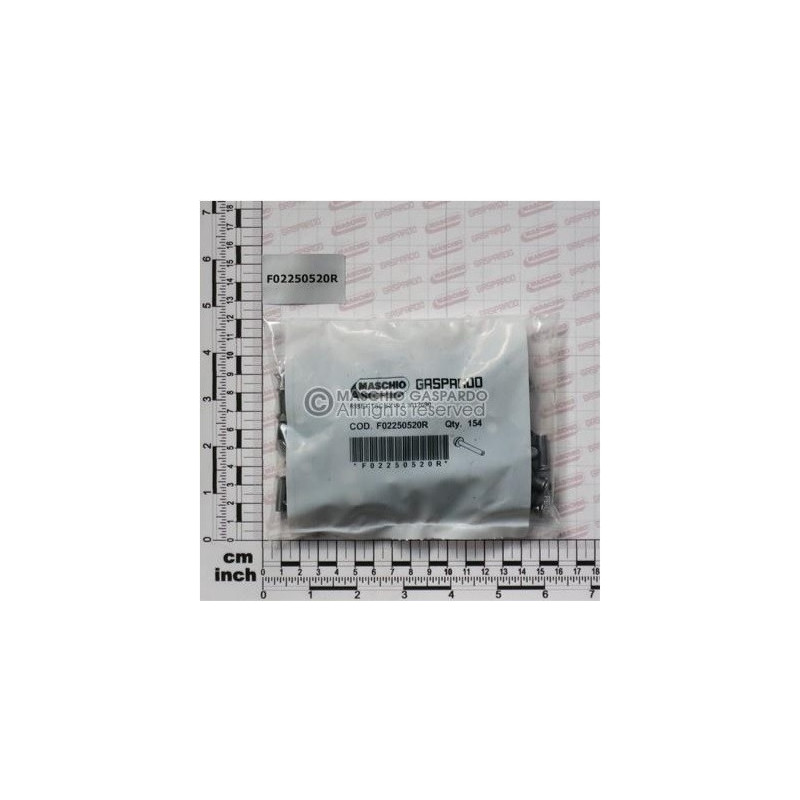 Rebites 6x19.8 154 un Gaspardo - F02250520