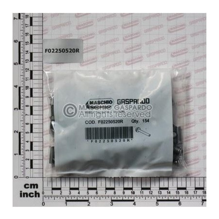 Rebites 6x19.8 154 un Gaspardo - F02250520