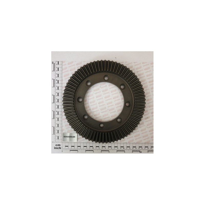 Roda Coroa Maschio Golia - EDA000018