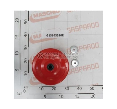 Roda Controlo Profundidade Gaspardo - G13643510