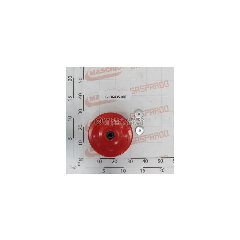 Roda Controlo Profundidade Gaspardo - G13643510