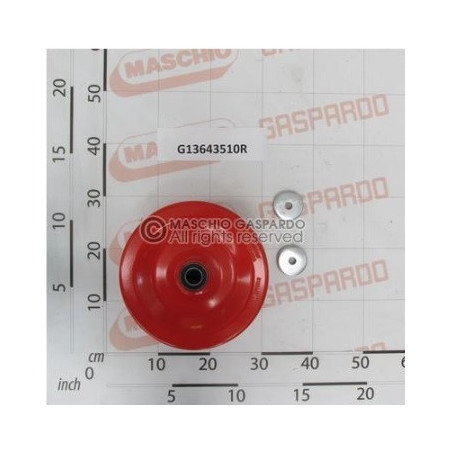 Roda Controlo Profundidade Gaspardo - G13643510