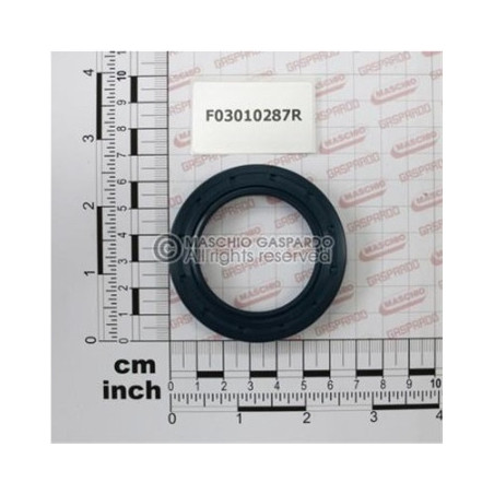 Retentor 45x65x4 Maschio - F03010287