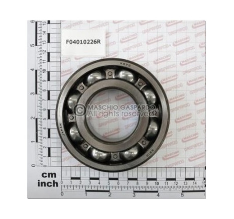 Rolamento 6310 Maschio - F04010226