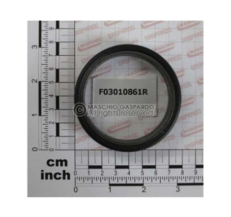 Retentor 0440 Maschio - F03010861