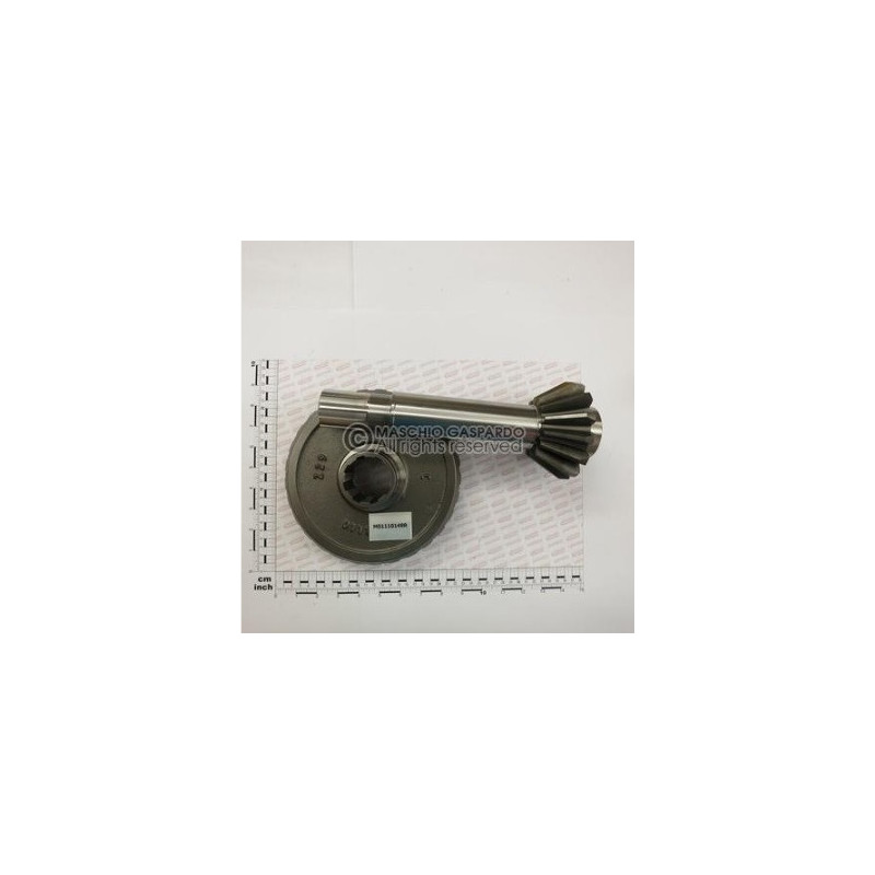 Grupo Cónico Maschio - M01110149