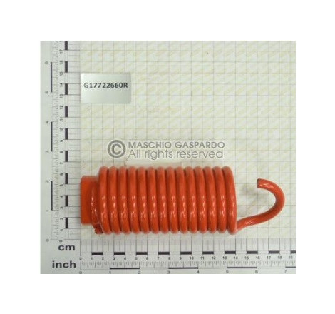 Mola Tracção Gaspardo - G17722660