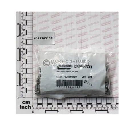 Rebites 6x13.8 pack 200 Gaspardo - F02250519
