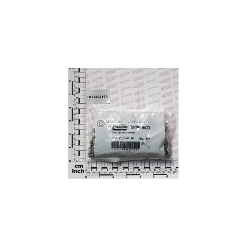 Rebites 6x13.8 pack 200 Gaspardo - F02250519
