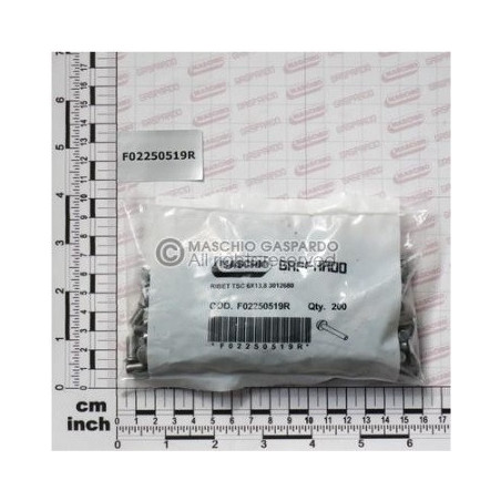 Rebites 6x13.8 pack 200 Gaspardo - F02250519