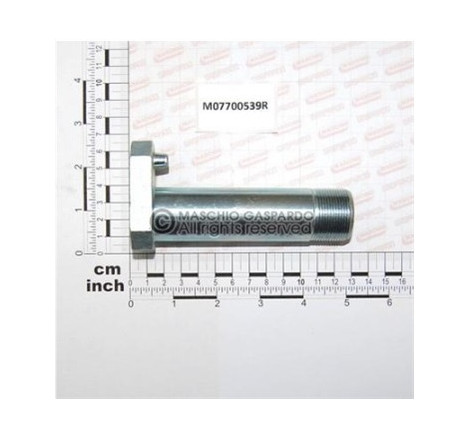 Cavilha 30x109 Maschio - M07700539