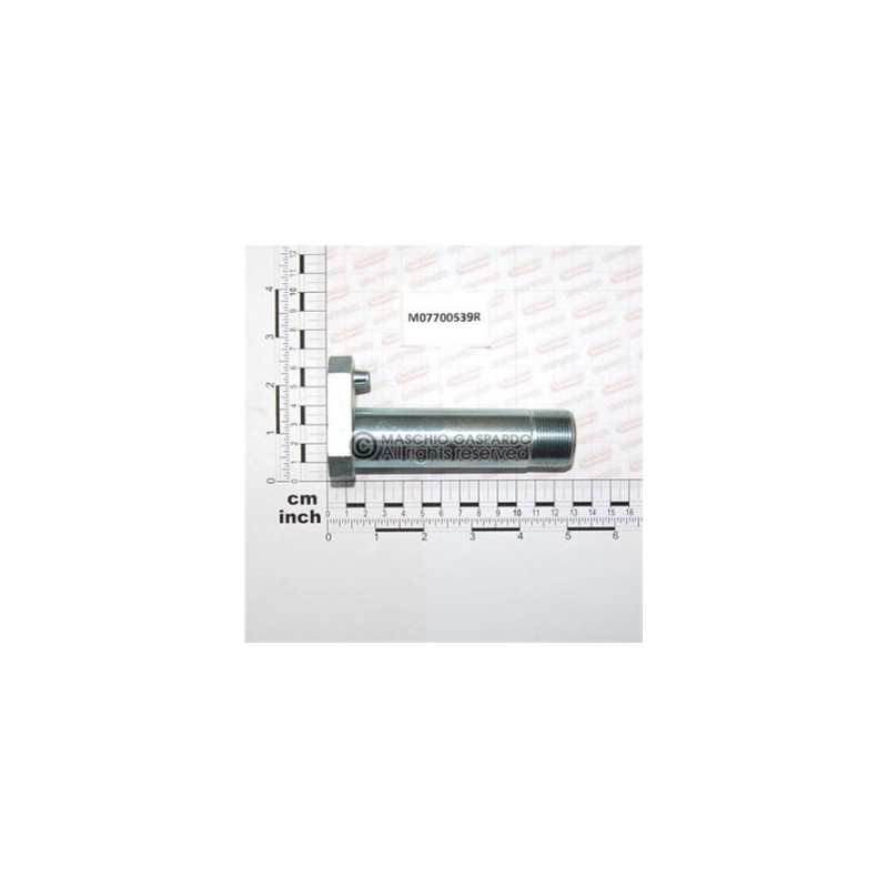 Cavilha 30x109 Maschio - M07700539