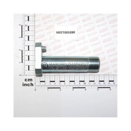 Cavilha 30x109 Maschio - M07700539
