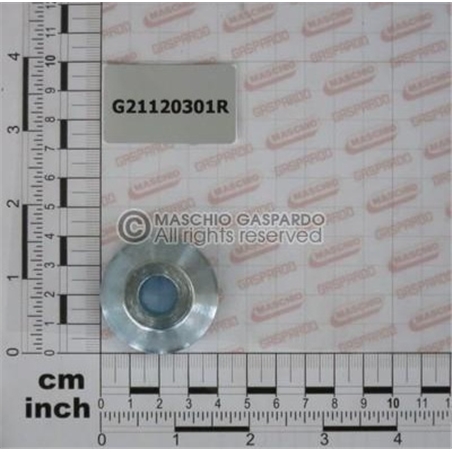 Chapa Cónica Gaspardo - G21120301