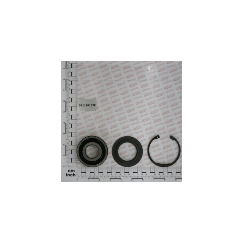 Kit Rolamento Biela Interna Gaspardo - G21120153