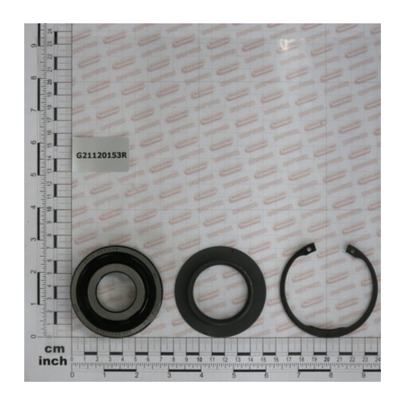 Kit Rolamento Biela Interna Gaspardo - G21120153