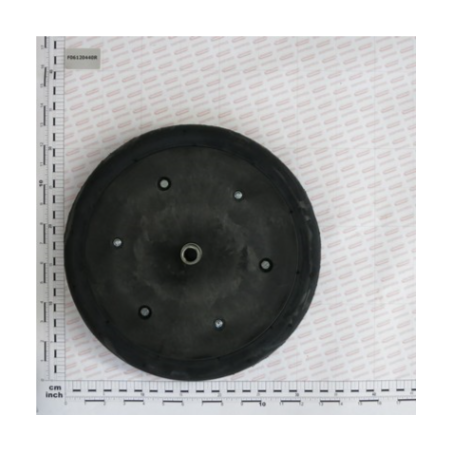 Roda Completa 320x47mm Semeador Gaspardo - F06120440