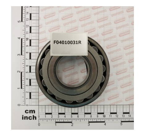 Rolamento Maschio 21309 - F04010031