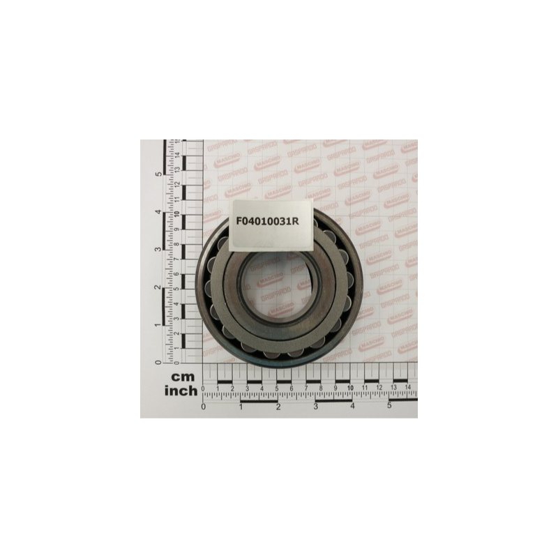 Rolamento Maschio 21309 - F04010031