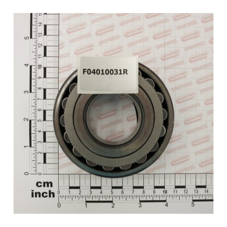 Rolamento Maschio 21309 - F04010031