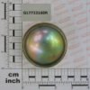 Hub Disc Cover Gaspardo