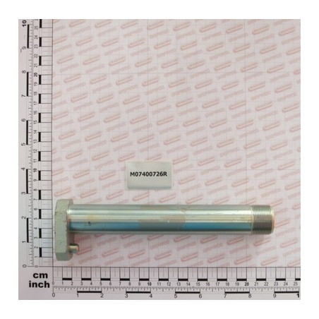 Cavilha 30x199 Maschio - M07400726