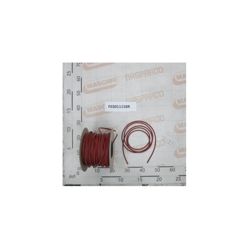 Oring D6 Maschio - F03011158