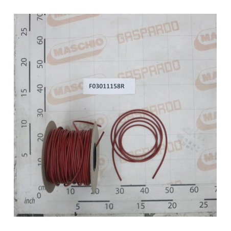 Oring D6 Maschio - F03011158