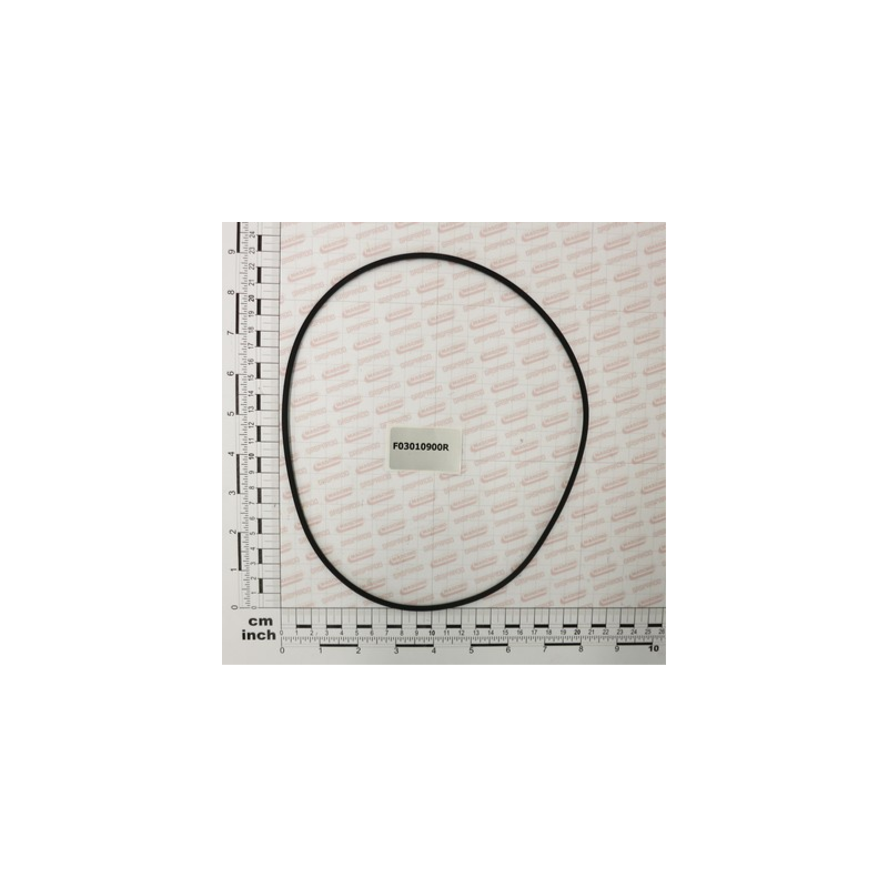 Oring 209.14x3.53 Maschio - F03010900