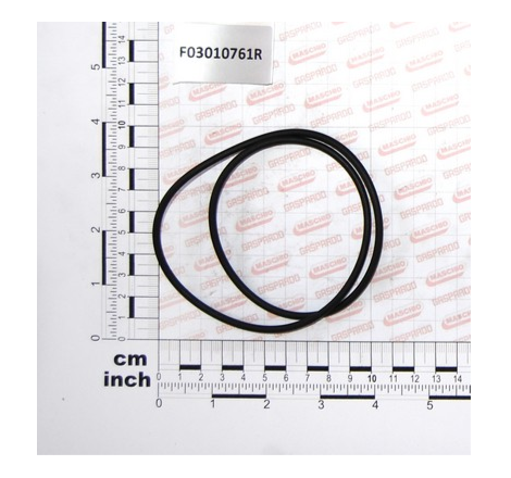 Oring 171.04x3.53 Maschio - F03010761