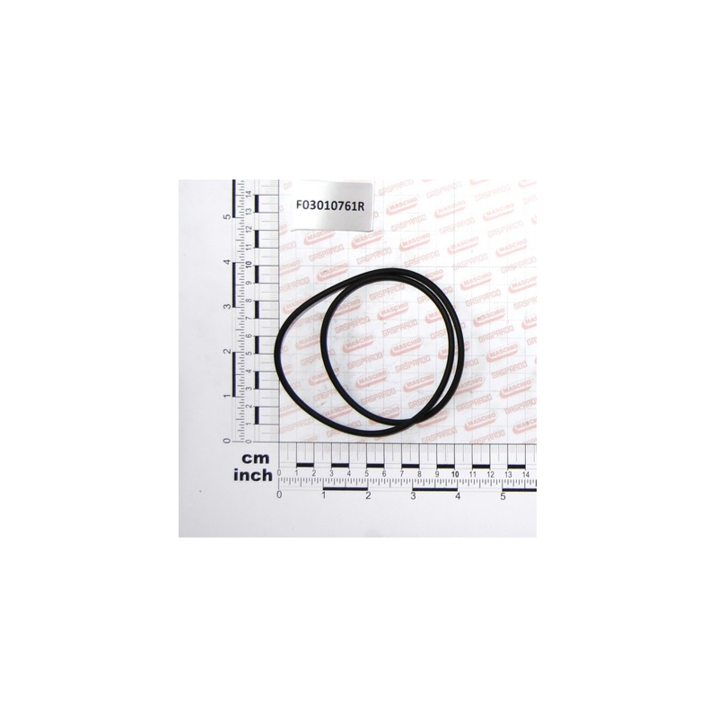 Oring 171.04x3.53 Maschio - F03010761